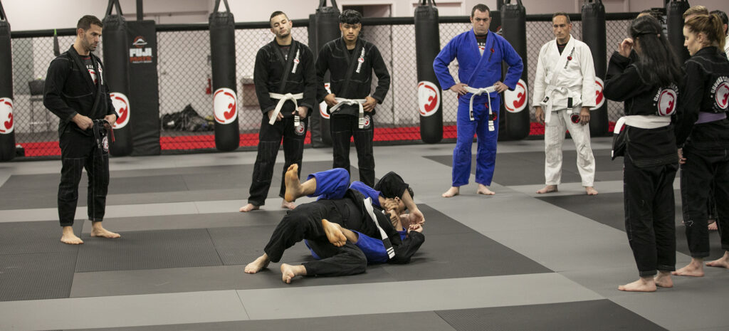 Ground Control Sykesville Martial Arts Classes advanced guard recovery techniques